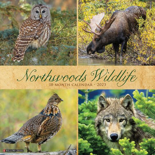 2023 Northwoods Wildlife Wall Calendar Michaels